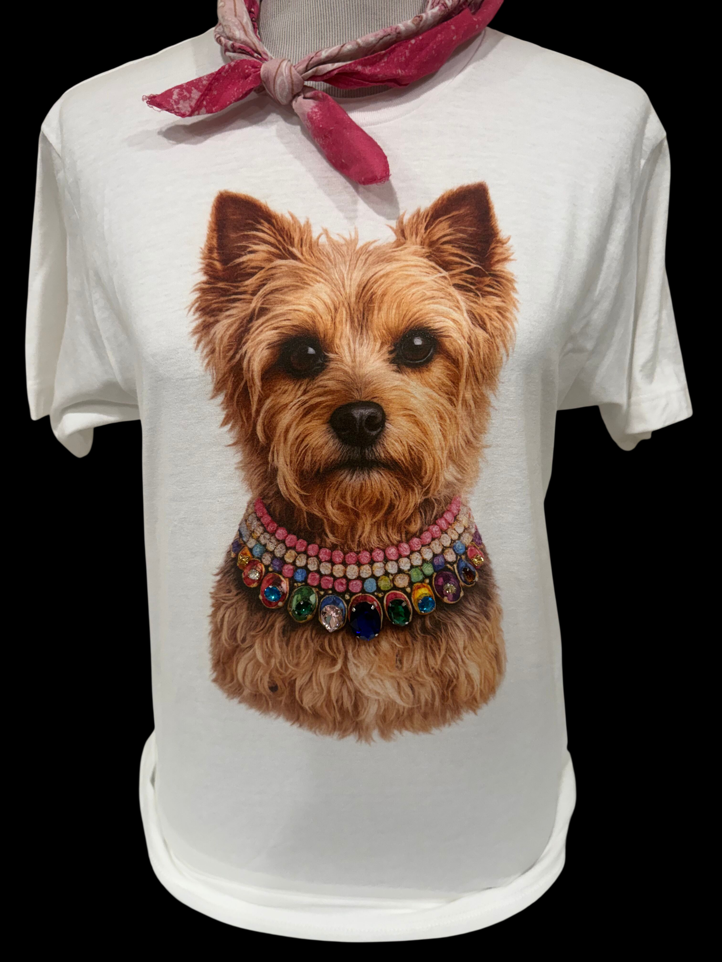 Jag Jeweled Collar Yorkie on White Crew
